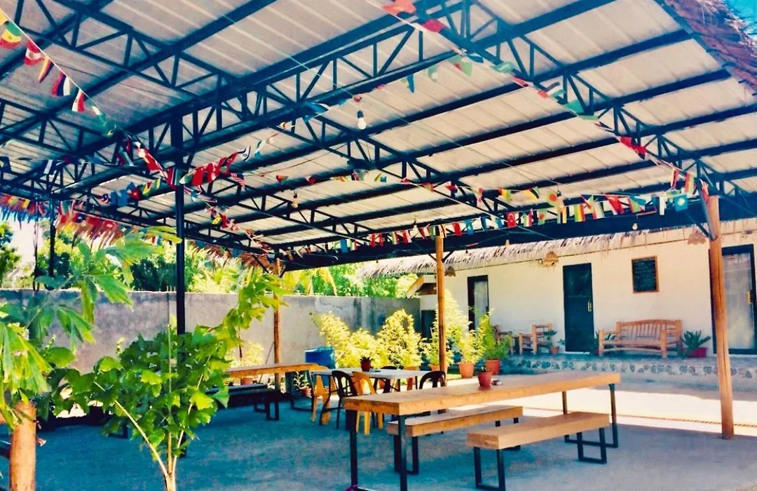 The Hangover Hostel-1